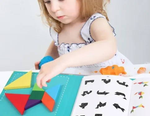 Libro de rompecabezas magnético Tangram